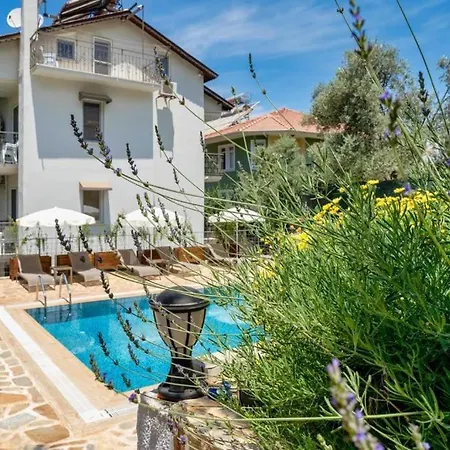 Phedora Lavanta Apartament